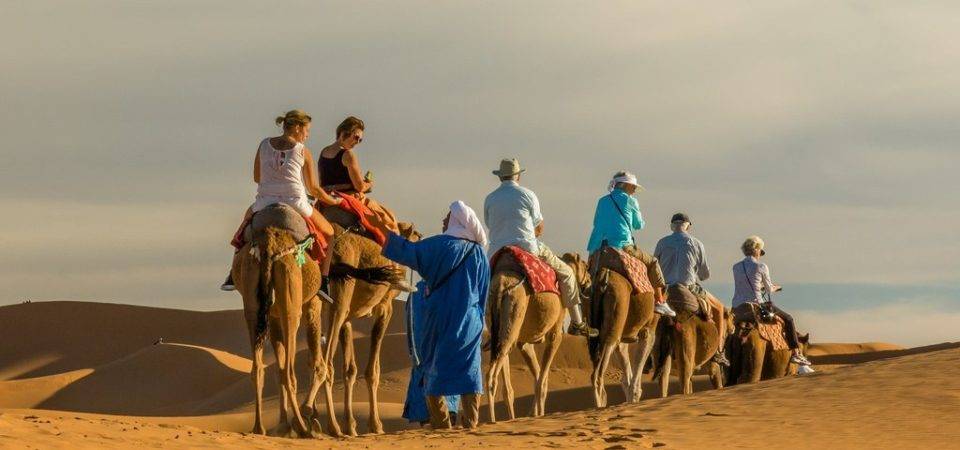 Camel rides in Moroccan Sahara desert