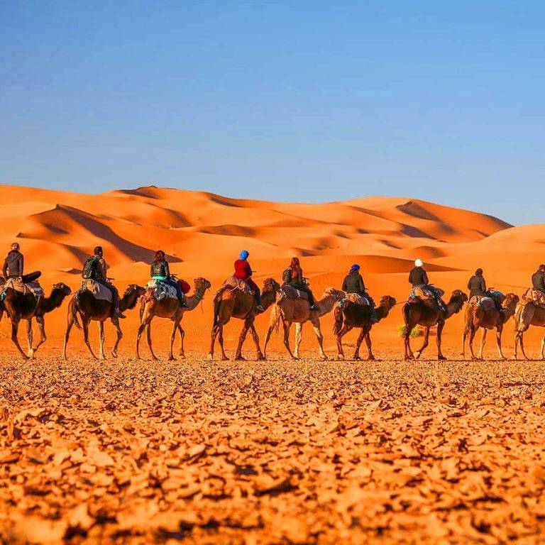 morocco premium tours best travel company