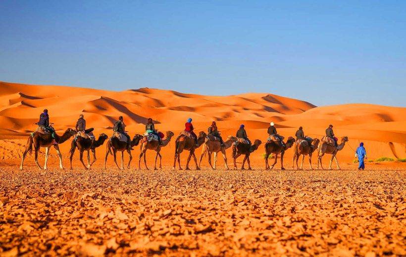 Camel trek in Moroccan Sahara during our desert tour