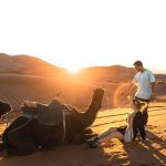 Gallery Thumbnail 1