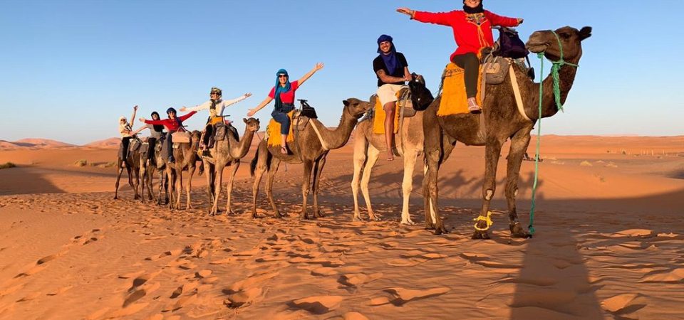 Camel rides, Morocco