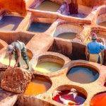 Chouara Tannery, Fes