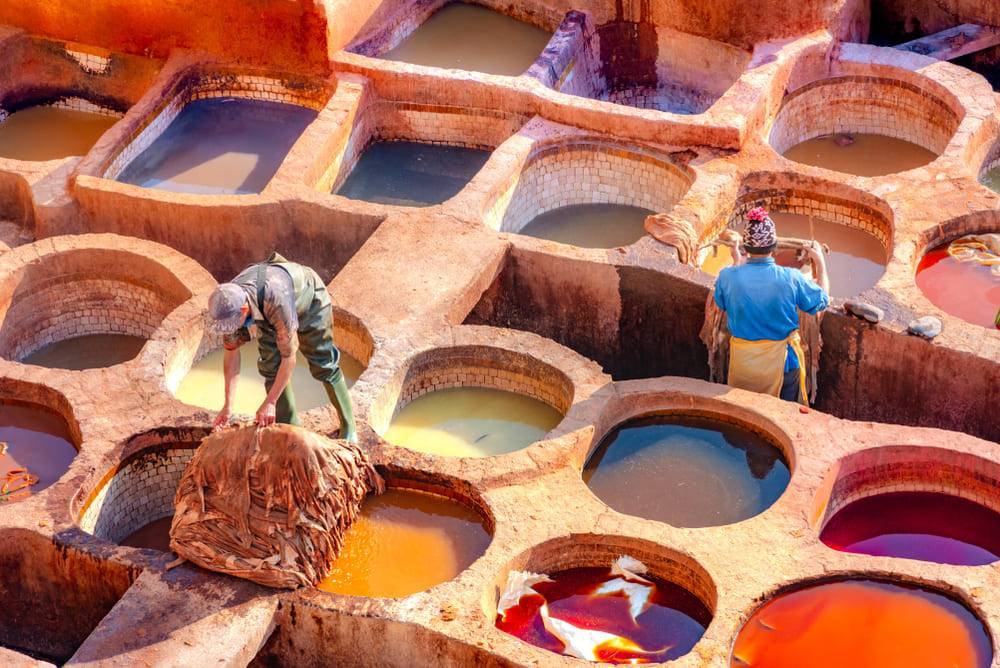 Chouara Tannery, Fes