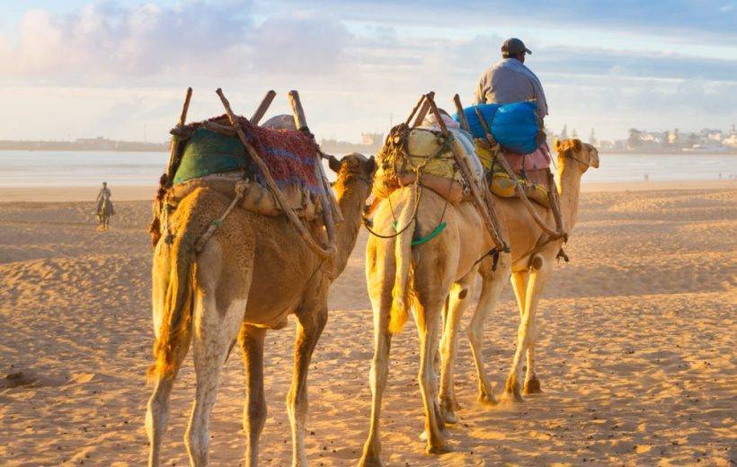 15 days tour from Marrakech