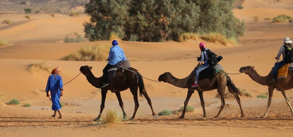 Camel Trekking in desert