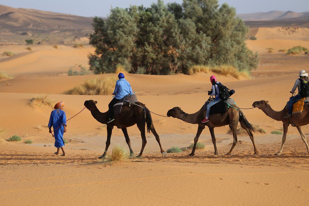 Camel Trekking in desert