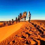 Camel Rides in Erg Chebbi