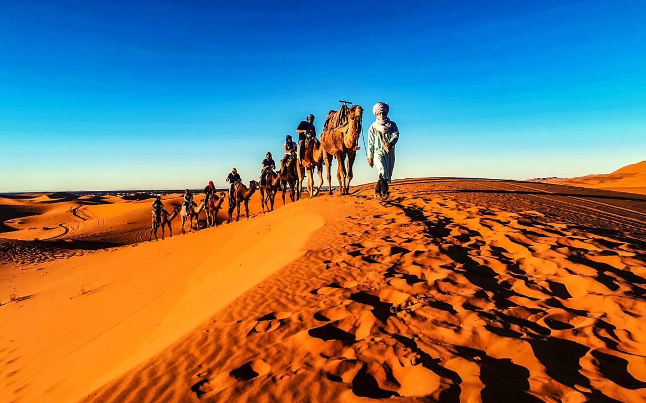 Camel Rides in Erg Chebbi