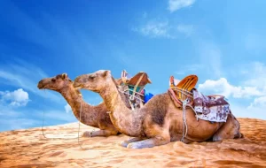 Fes to Merzouga 3 days