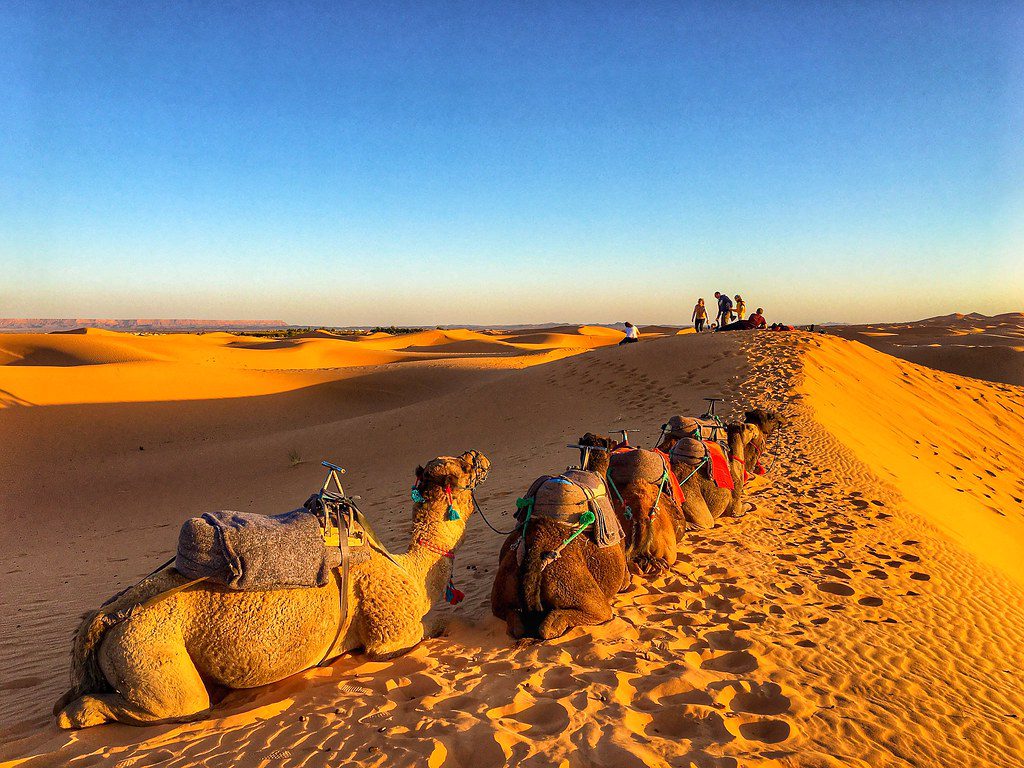 camel ride