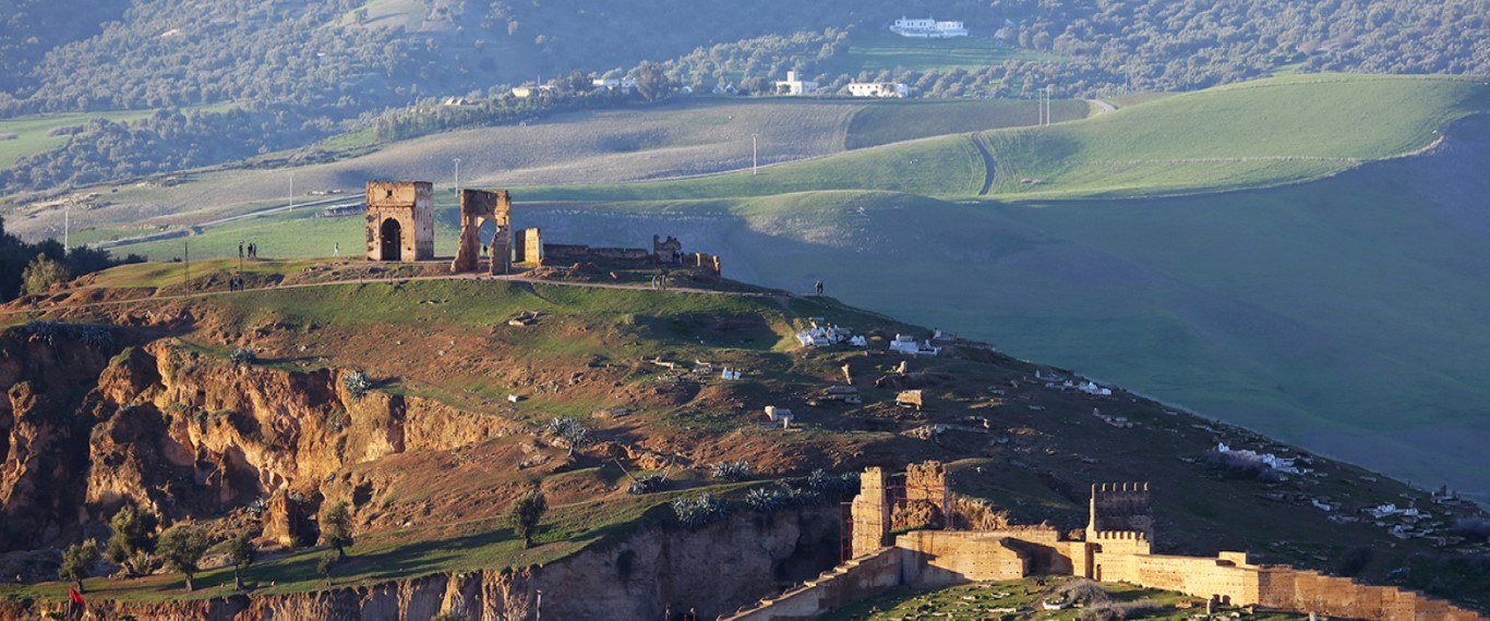 View over Fes from the Merenid Tombs at sunset, Morocco