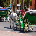 Trips to Morocco: 12 day private tour