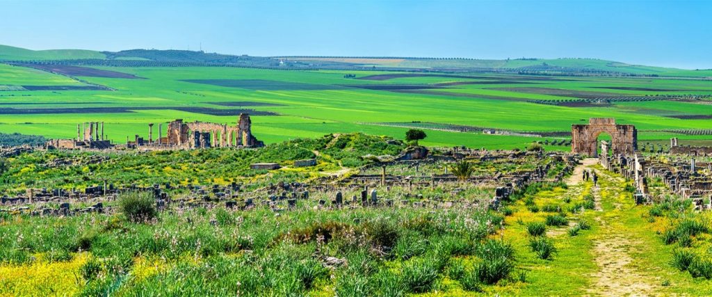 Volubilis Ruins in Morocco