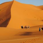 Camel trek in Erg Chebbi Dunes