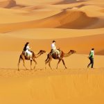 Camel Trek Morocco