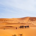 14 day tour from Tangier