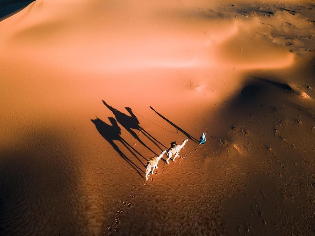 Best private Morocco Trips
