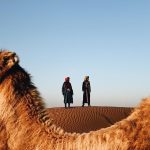 Moroccan Sahara Desert