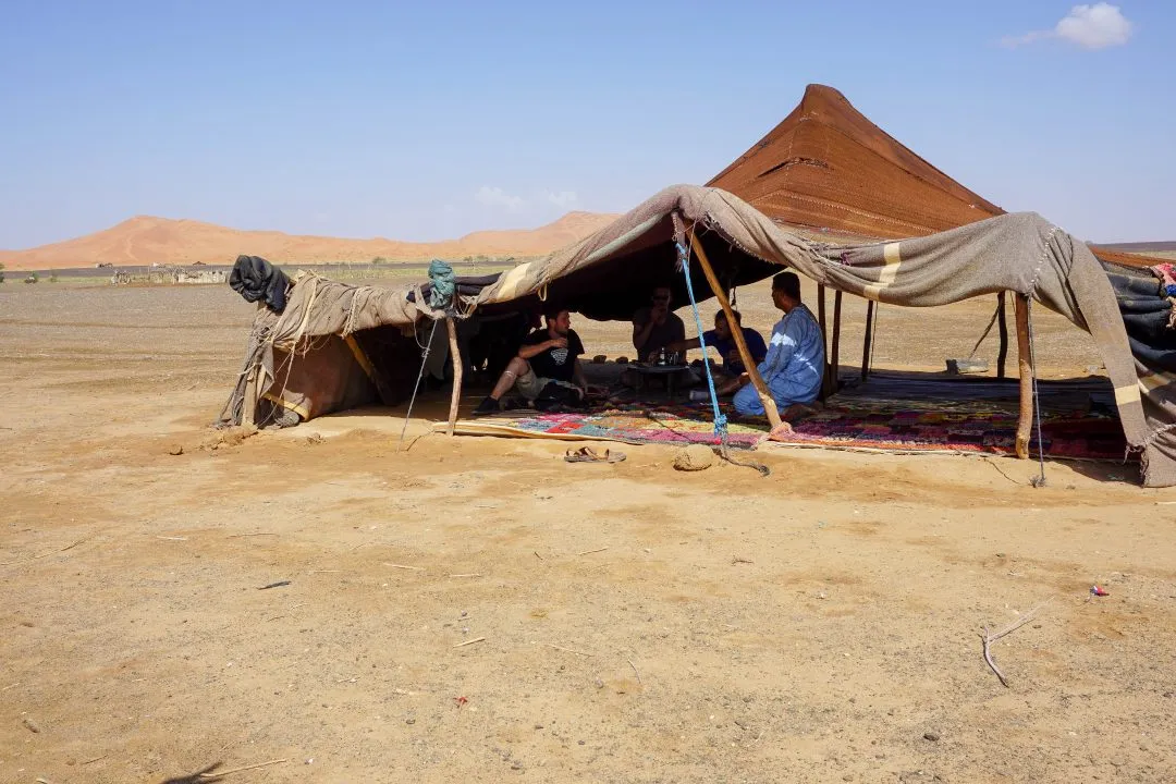 Sahara Nomads