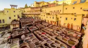 Chouarra Tannery in Fes