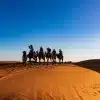 a group of people riding camels in the desert as one of our Morocco Activities