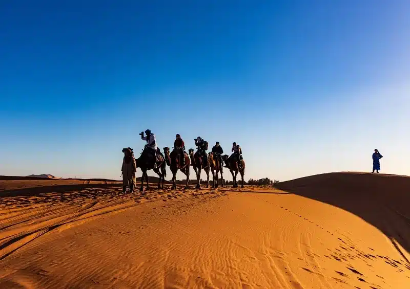 a group of people riding camels in the desert as one of our Morocco Activities