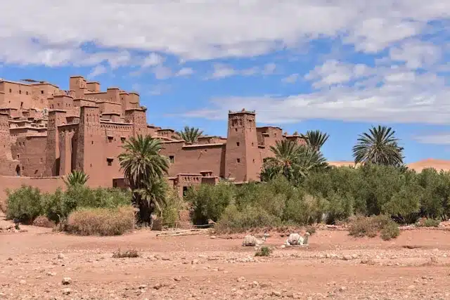 Palms Trees and a group of old houses in a Berber village