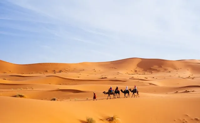 Camel Trekking in Merzouga is One of the Best Things to Do in Merzouga