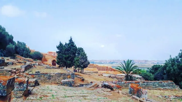 Avenue Chellah