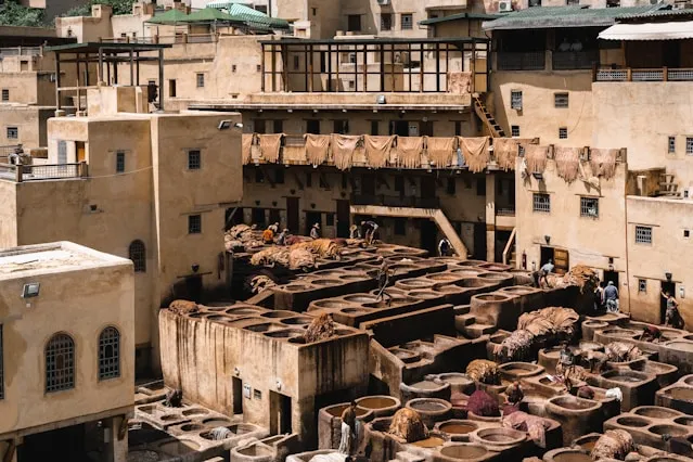 Relish on the Coastal Charm of Essaouira