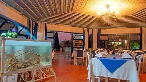 Restaurant du Port de Pêche